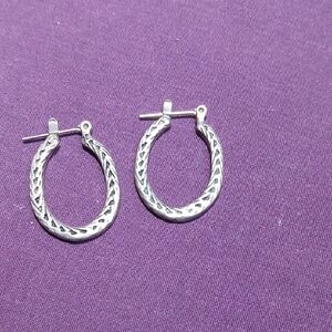Elegant Silver Hoop Earrings